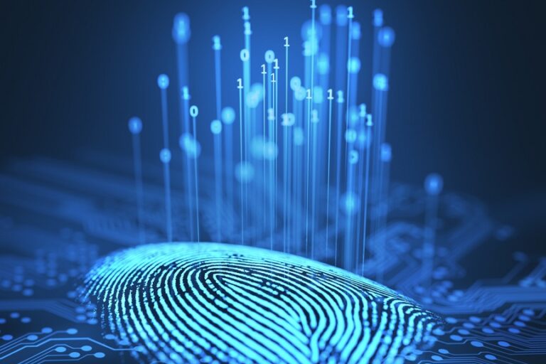 Fingerprint Binary Microchip